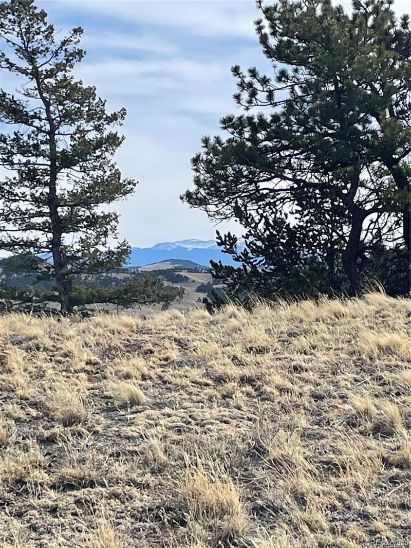 Antelope Rd Lot 1558, Hartsel, CO 80449