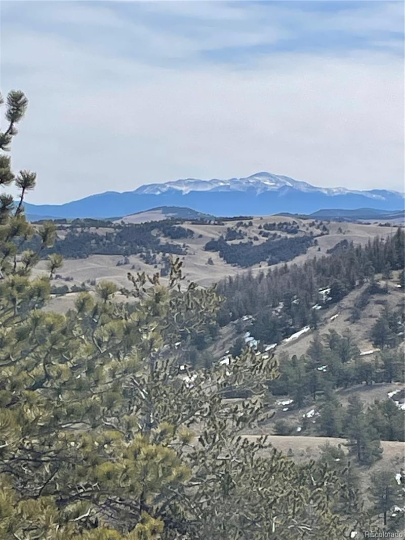 Antelope Rd Lot 1558, Hartsel, CO 80449