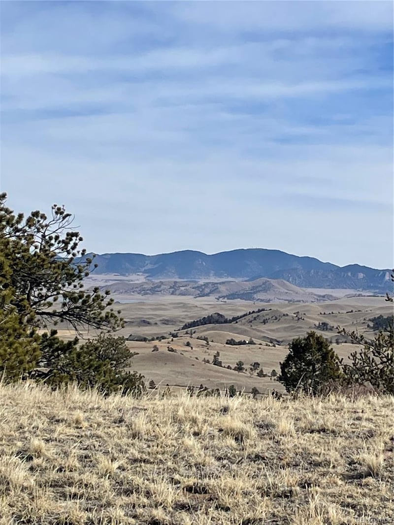 Antelope Rd Lot 1558, Hartsel, CO 80449