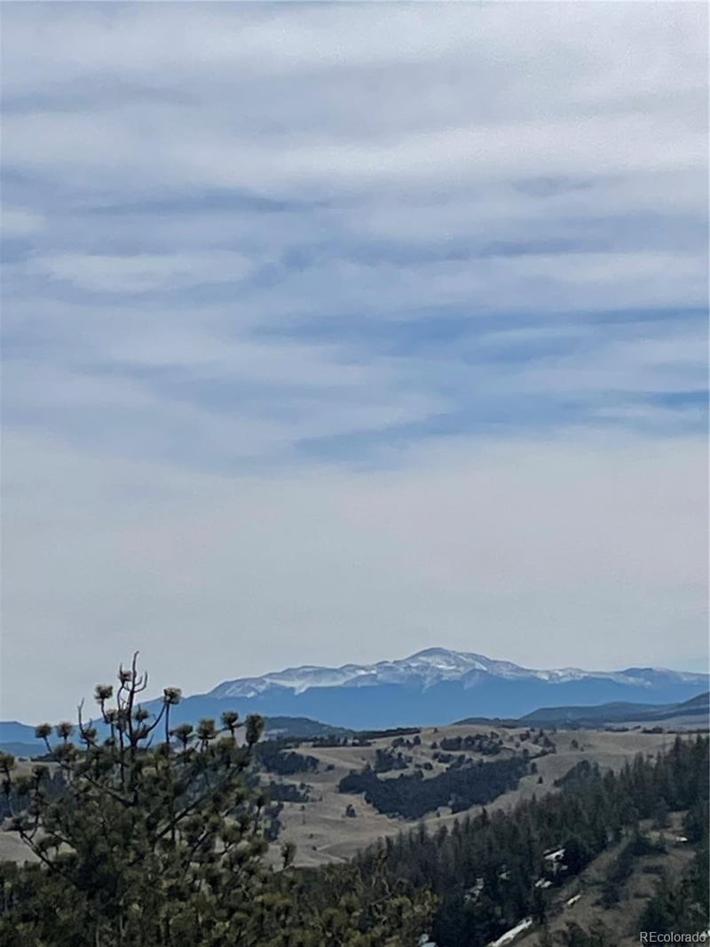 Antelope Rd Lot 1558, Hartsel, CO 80449