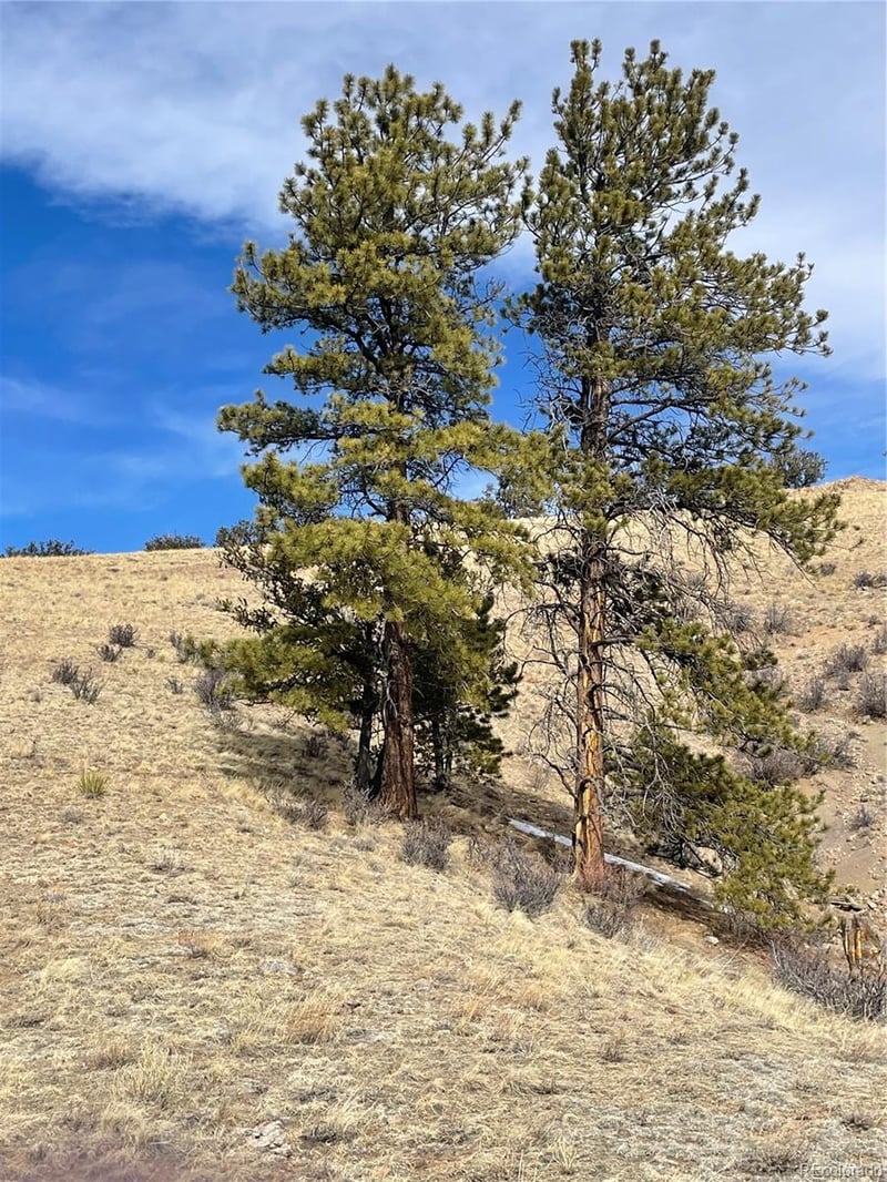 Antelope Rd Lot 1558, Hartsel, CO 80449