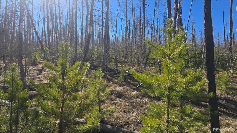 Lot 1470 Von Heyl Ln, Fort Garland, CO 81133