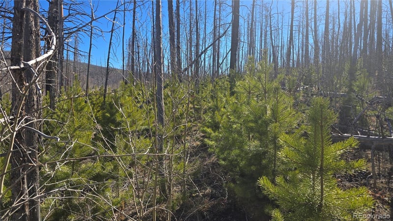 Lot 1470 Von Heyl Ln, Fort Garland, CO 81133