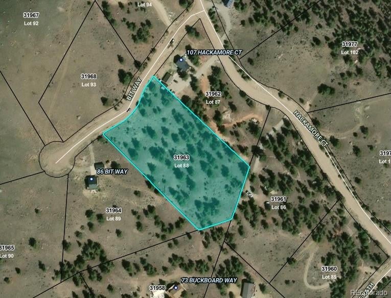 52 Bit Way, Hartsel, CO 80449