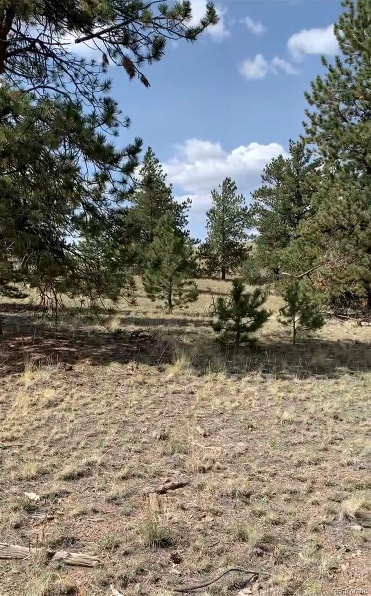 52 Bit Way, Hartsel, CO 80449