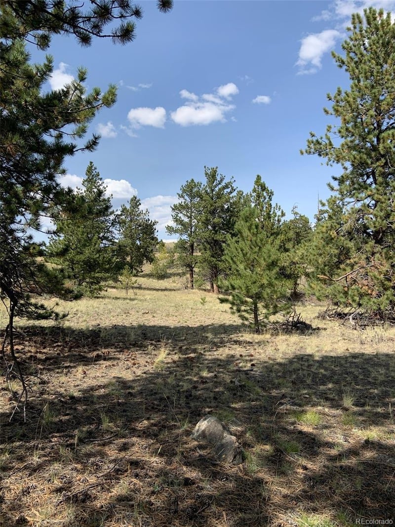 52 Bit Way, Hartsel, CO 80449