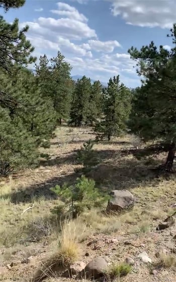 52 Bit Way, Hartsel, CO 80449