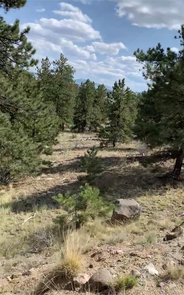 52 Bit Way, Hartsel, CO 80449