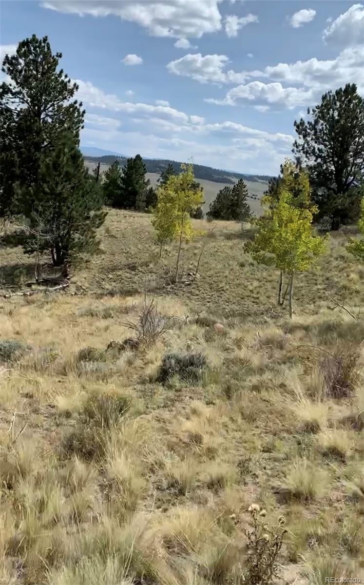 52 Bit Way, Hartsel, CO 80449