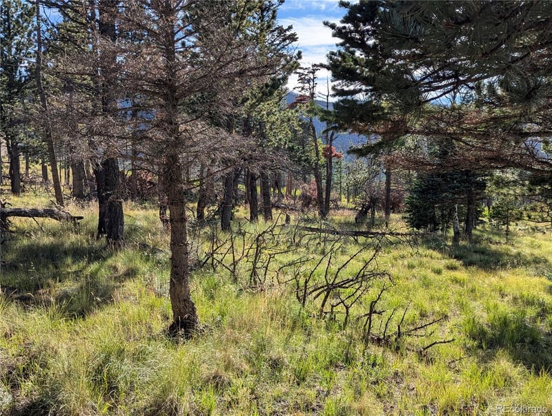 2127 Sigler Dr, Fort Garland, CO 81133