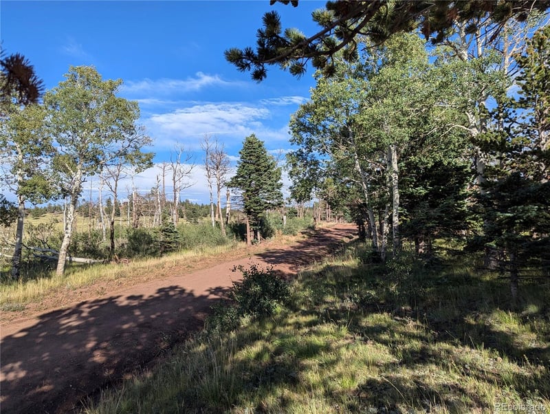 2127 Sigler Dr, Fort Garland, CO 81133