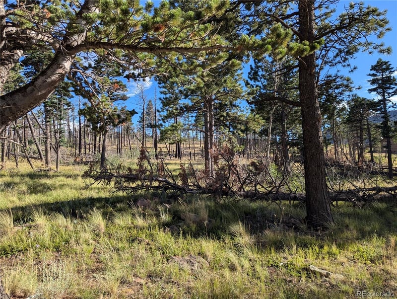 2127 Sigler Dr, Fort Garland, CO 81133