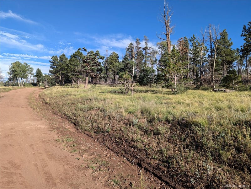 2127 Sigler Dr, Fort Garland, CO 81133