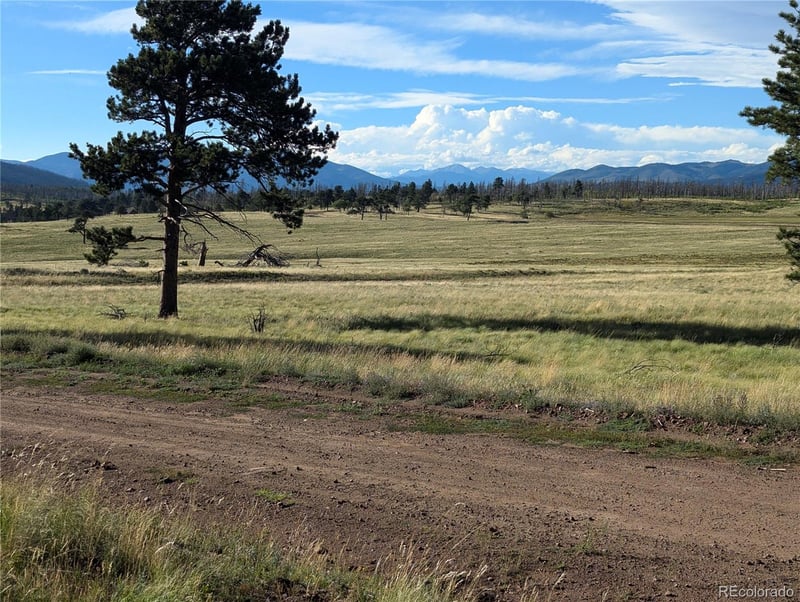 2127 Sigler Dr, Fort Garland, CO 81133