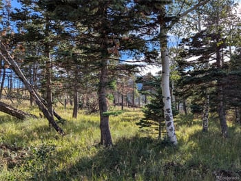 2127 Sigler Dr, Fort Garland, CO 81133