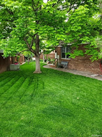 2504 125th Pl, Thornton, CO 80241