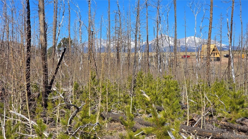 Lot 1460 Von Heyl Ln, Fort Garland, CO 81133