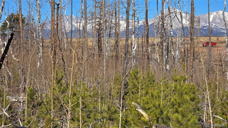 Lot 1460 Von Heyl Ln, Fort Garland, CO 81133