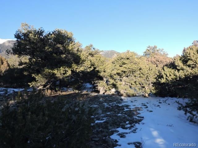 Lot 9 Cedar Ave, Blanca, CO 81123