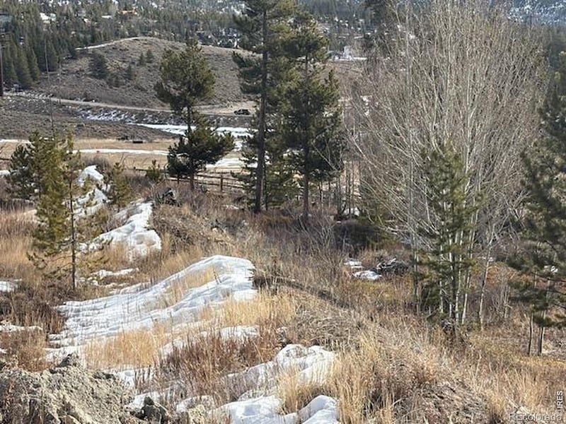 154 County Road 4037, Grand Lake, CO 80447