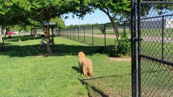 94 Princeton St, Pueblo, CO 81005