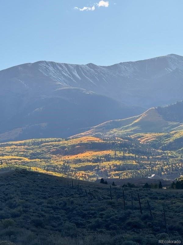 446 Mt Massive Dr Lot 76, Twin Lakes, CO 81251