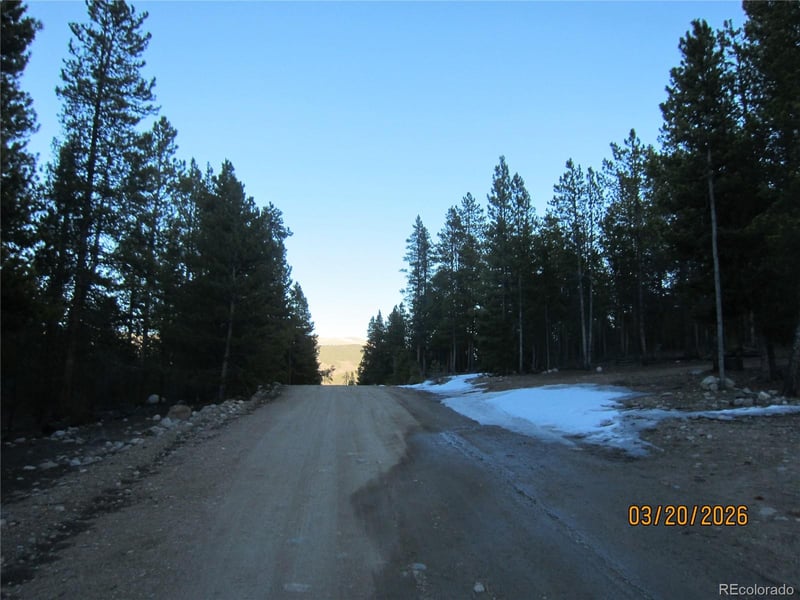 446 Mt Massive Dr Lot 76, Twin Lakes, CO 81251
