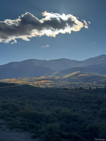 446 Mt Massive Dr, Twin Lakes, CO 81251