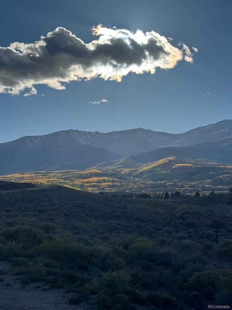 446 Mt Massive Dr, Twin Lakes, CO 81251