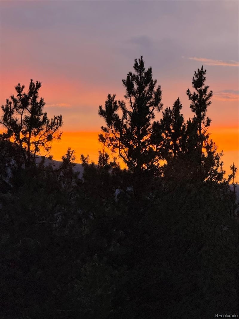 446 Mt Massive Dr, Twin Lakes, CO 81251