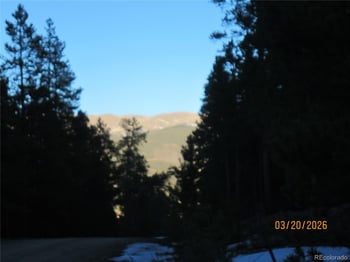 446 Mt Massive Dr, Twin Lakes, CO 81251