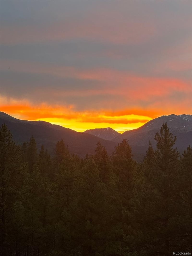 446 Mt Massive Dr, Twin Lakes, CO 81251