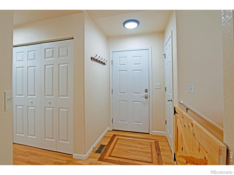 6937 Raleigh St, Wellington, CO 80549