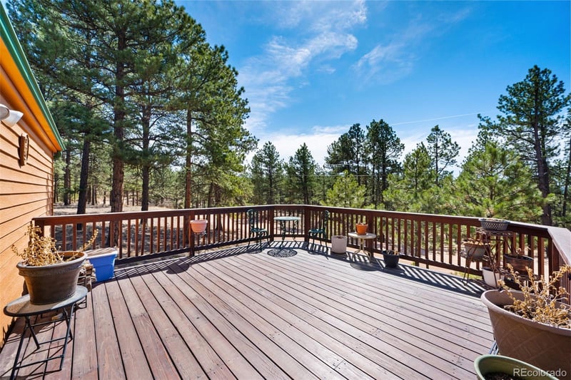 1299 Pikes Peak Dr, Florissant, CO 80816