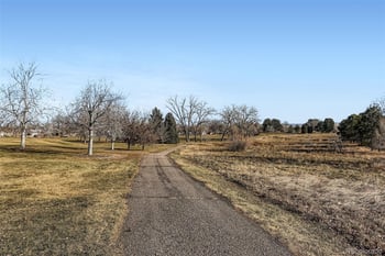 4264 Radcliff Ave, Denver, CO 80236