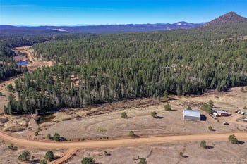 169 Saddleback Creek Dr, Florissant, CO 80816