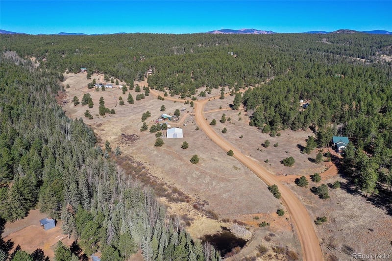 169 Saddleback Creek Dr, Florissant, CO 80816