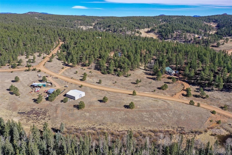 169 Saddleback Creek Dr, Florissant, CO 80816