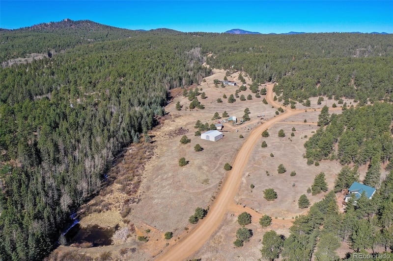 169 Saddleback Creek Dr, Florissant, CO 80816