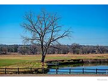 5612 115th St, Longmont, CO 80504