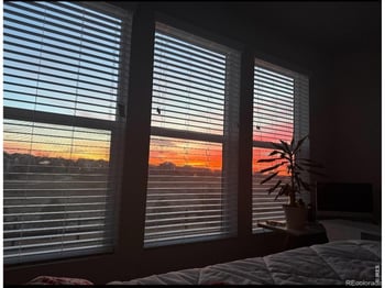 16736 Chilton Dr, Mead, CO 80542