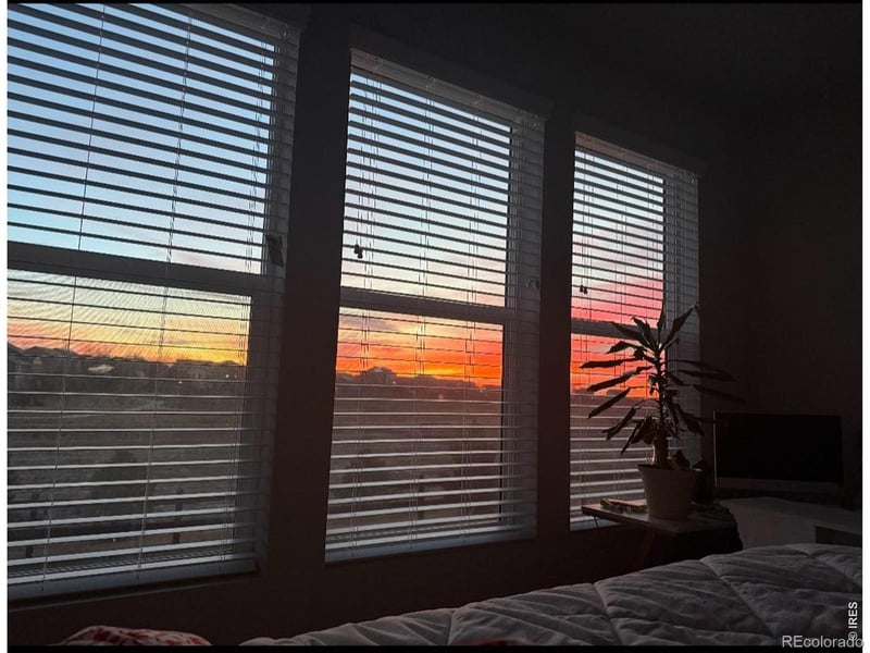 16736 Chilton Dr, Mead, CO 80542