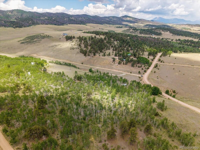 40 Brahma Ct, Hartsel, CO 80449