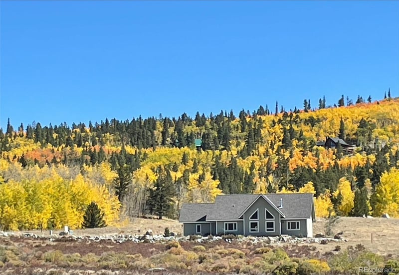 216 Glacier Ridge Rd, Alma, CO 80420