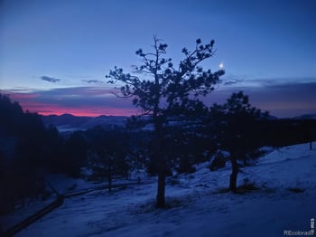 39 Mount Sherman Ct, Livermore, CO 80536