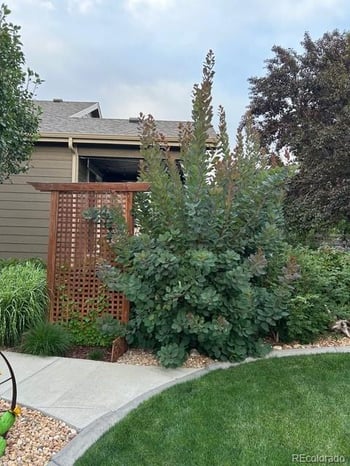 21470 Union Dr, Aurora, CO 80015