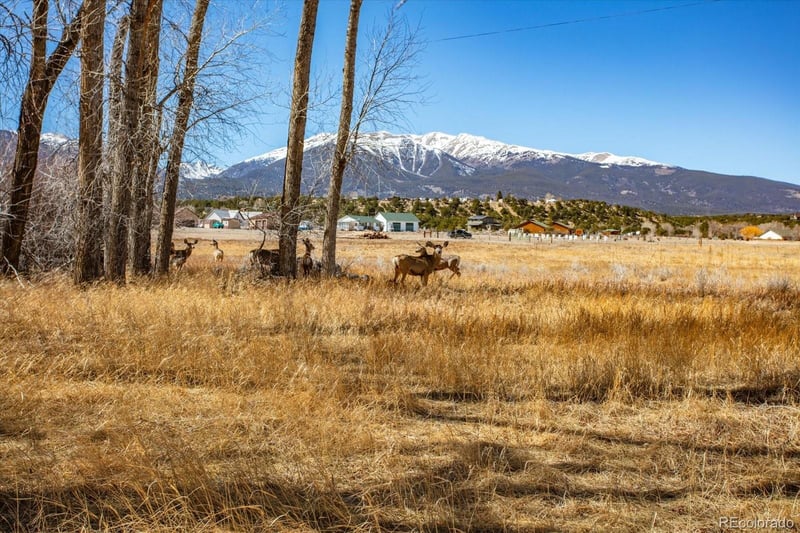 29571 County Road 350a, Buena Vista, CO 81211