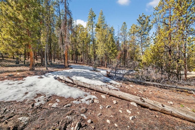 312 Mt Massive Rd, Twin Lakes, CO 81251