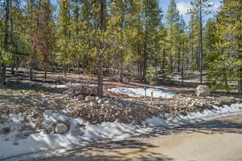 312 Mt Massive Rd, Twin Lakes, CO 81251