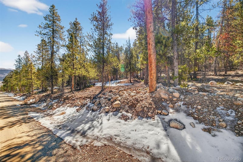 312 Mt Massive Rd, Twin Lakes, CO 81251